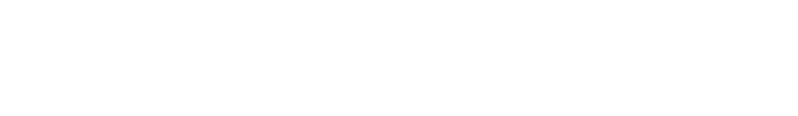 FOCUS RT logo orizzontale bianco